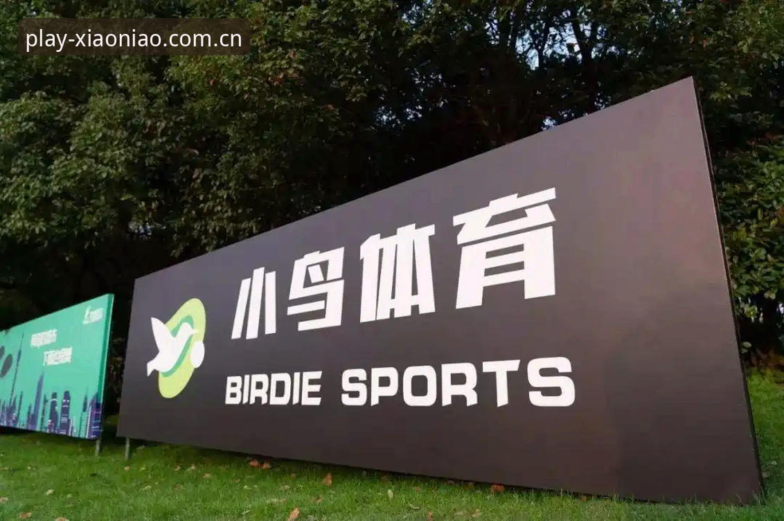 资深运动爱好者分享：小鸟体育官方入口下载使用指南的实战经验