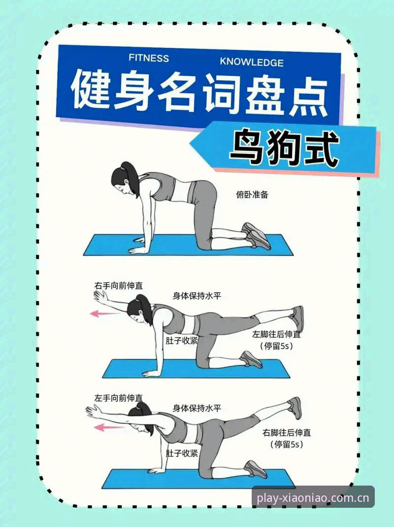 小鸟体育平台功能详解：10个让你效率翻倍的实用技巧