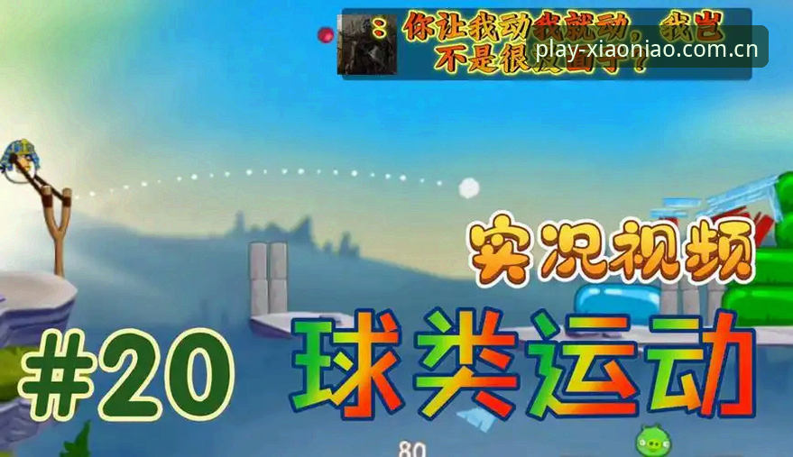 小鸟体育电脑版使用指南全面解析：从安装到高效应用的深度分析