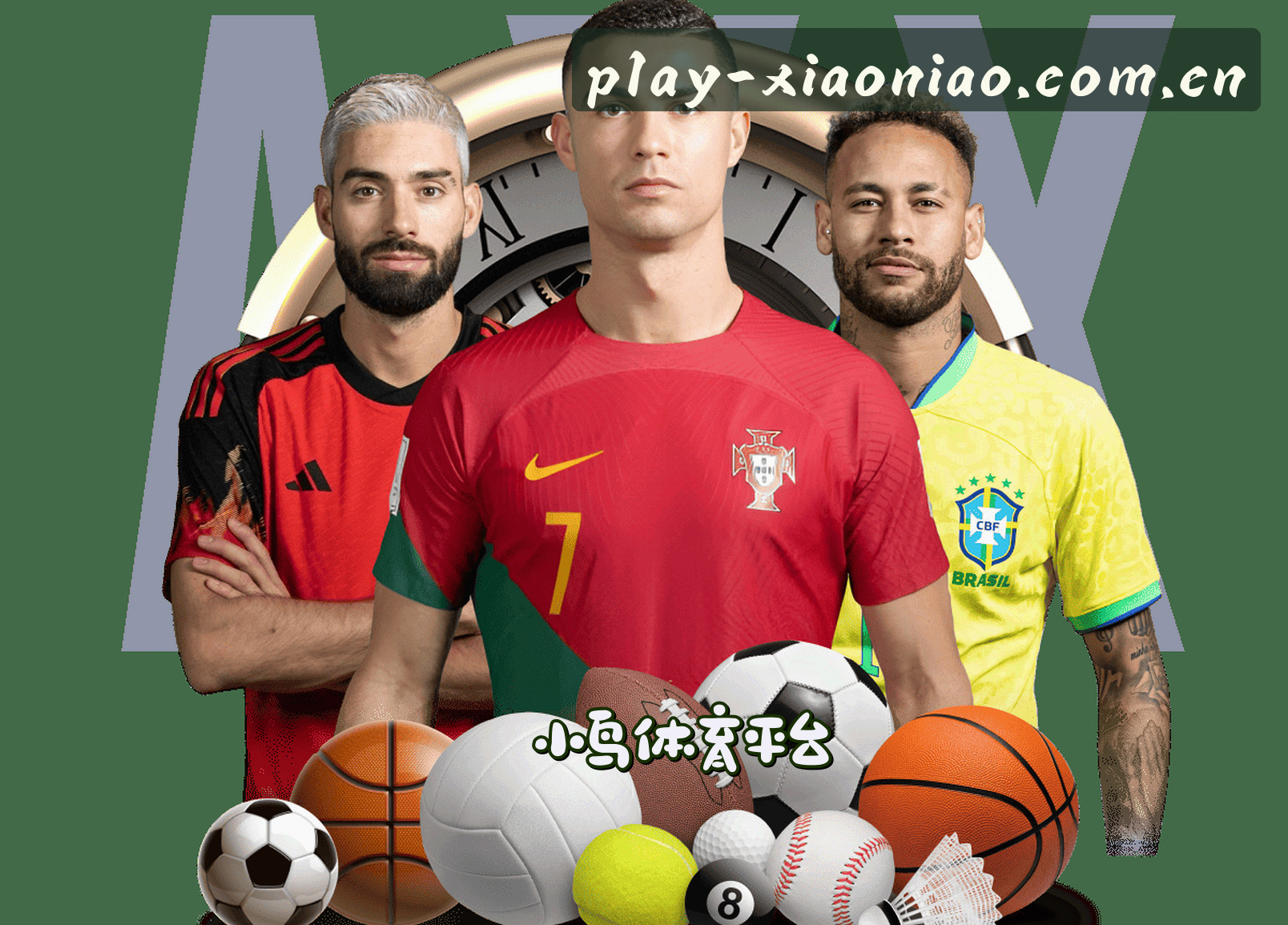 平台简介